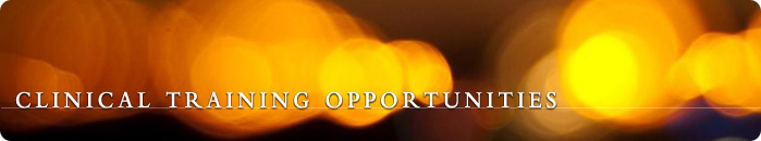 The Solano County Jail Counseling Program The Solano County Jail Counseling Program
